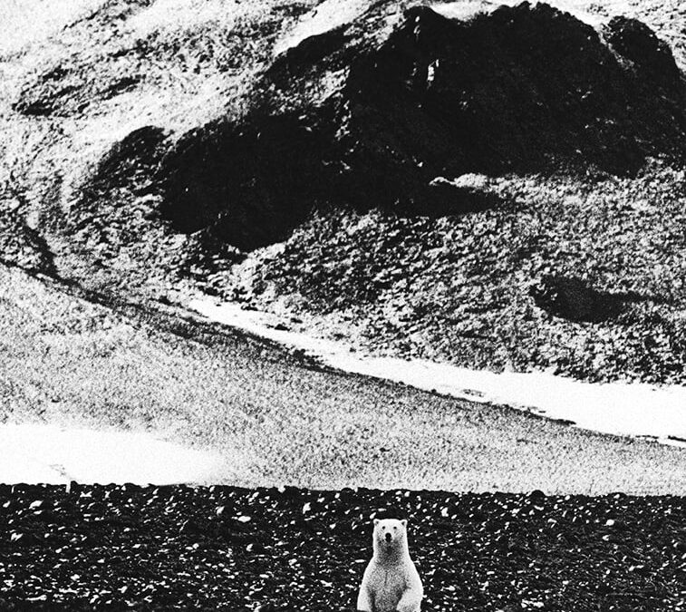 Sven Gillsäter, Kung Karls land, Norra Ishavet 1962.