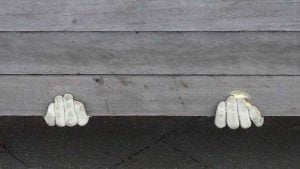 hands