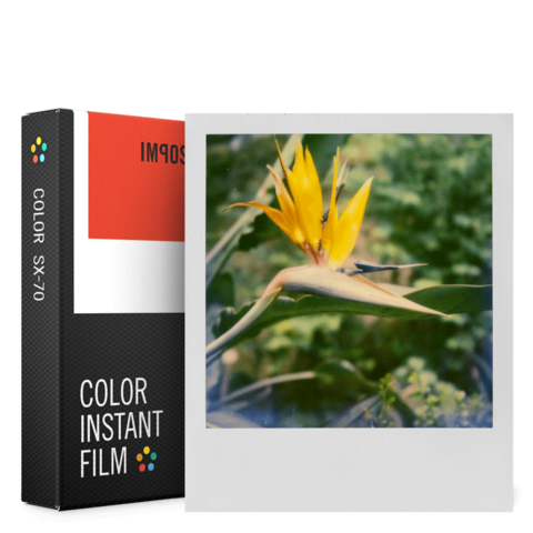sx color